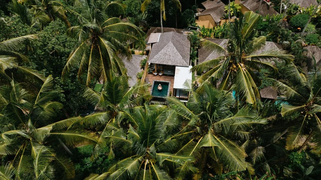 Aerial view of a private pool at Samkhya Villas Ubud, surrounded by a lush tropical jungle and tall palm trees in Bali